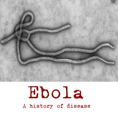 Ebola, 