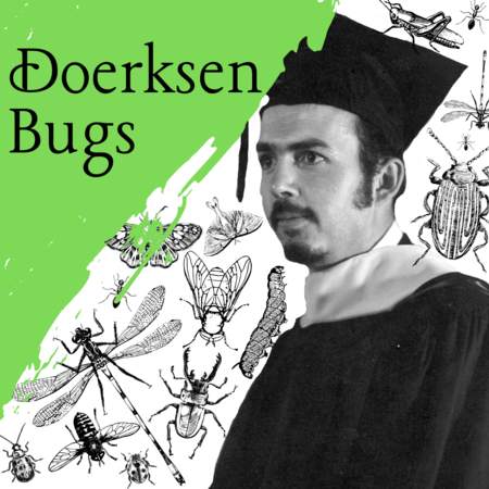Doerksen Bugs, 