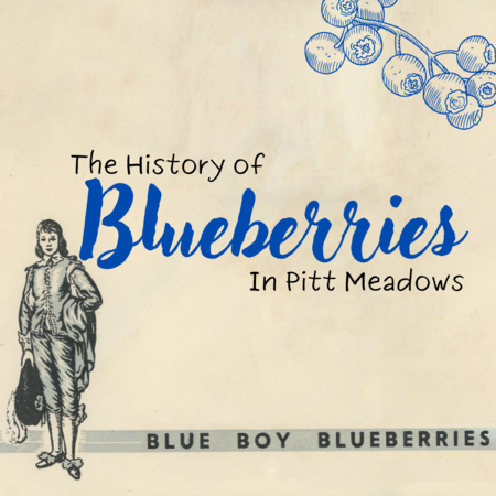 History of Blueberries, 
