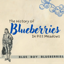 History of Blueberries, 