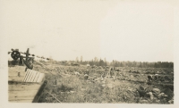 Conveyor belt from the fields at the Alouette Peat Farm c. 1940s