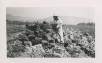 Stacking Peat at the Alouette Peat Farm c.1940s