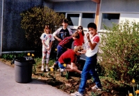Children gardening outside school C1986/87
