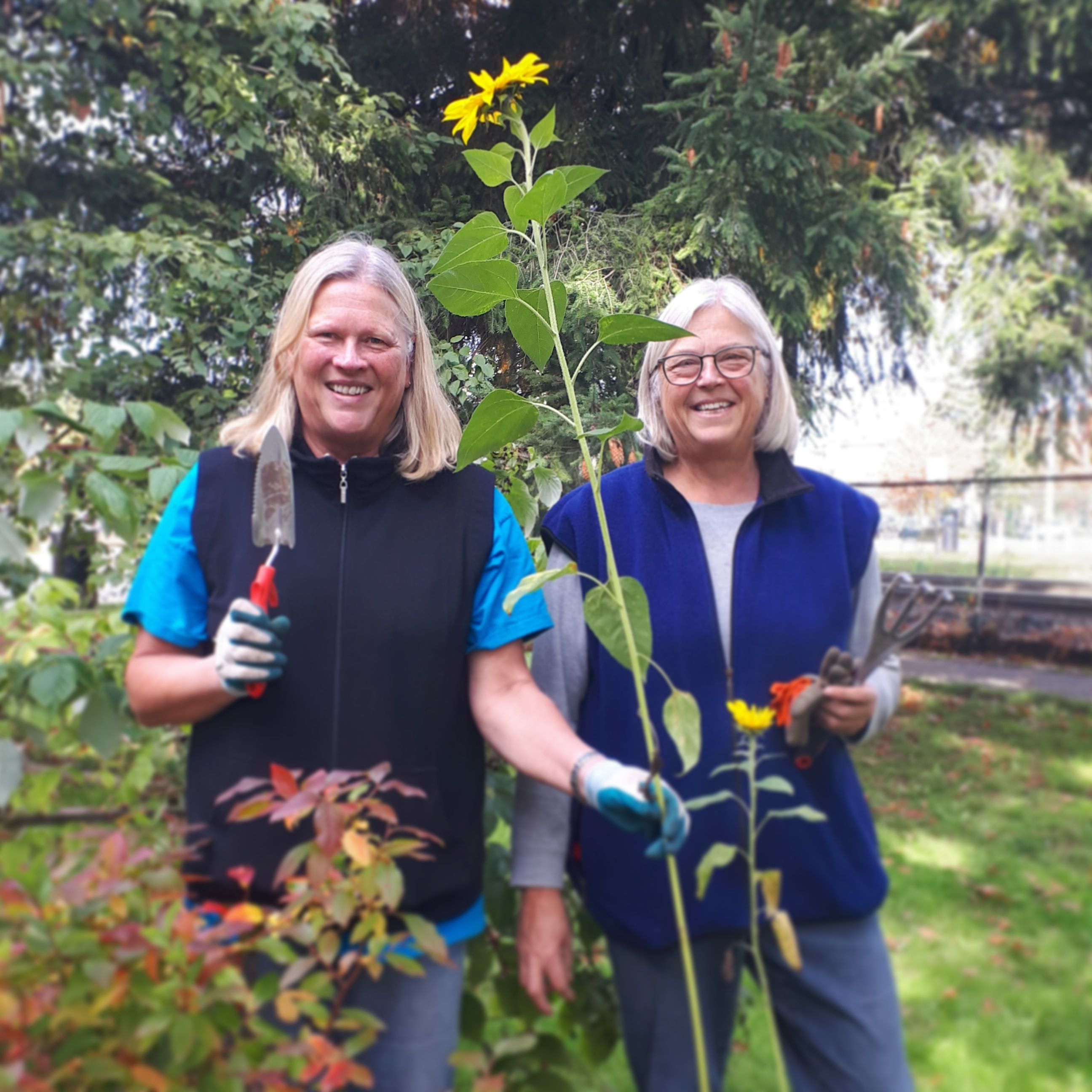 Garden crew at the Pitt Meadows Museum