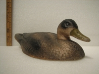 Decoy Duck