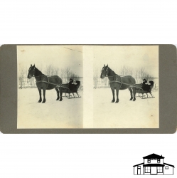 Stereoscopic Card