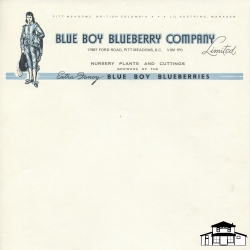 Blue Boy Blueberry Company Stationary